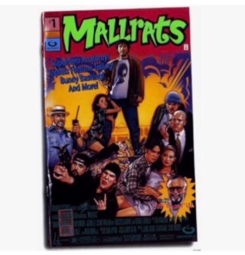 Mallrats Movie Poster Print (11 x 17)