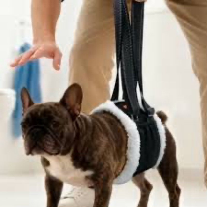 lumoleaf dog lift harness sling for back legs, adjustable rear leg support & mobility aid, hip suppo