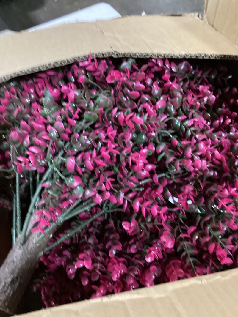 Condition photo showing Good Condition for valentines day flowers gifts for her women,flowers roses bouquet gifts for women wife girlfriend and best friend/flower for delivery prime/purple rose bright purple