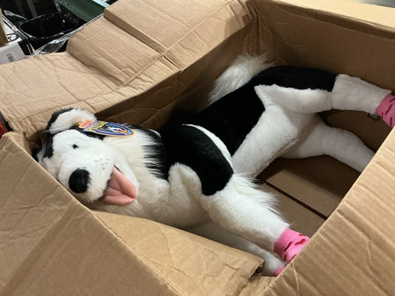 Condition photo showing Good Condition for melissa & doug giant siberian husky - lifelike stuffed animal dog (over 2 feet tall)