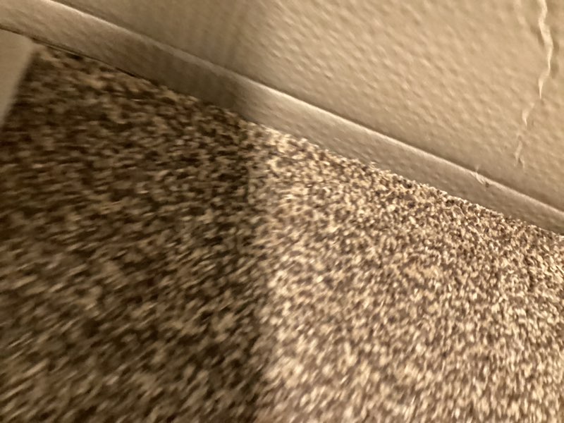 Condition photo showing Good Condition for Mibao Front Door Mat Entrance, Non-Slip Absorbent Waterproof Welcome Doormat with TPR Backing, Dirt Trapping Entrance Inside Floor Mats for Entryway Washable Low-Profile, 35.5" x 59", Dark Grey 2'11" x 4'11" (Rectangular) Dark Grey