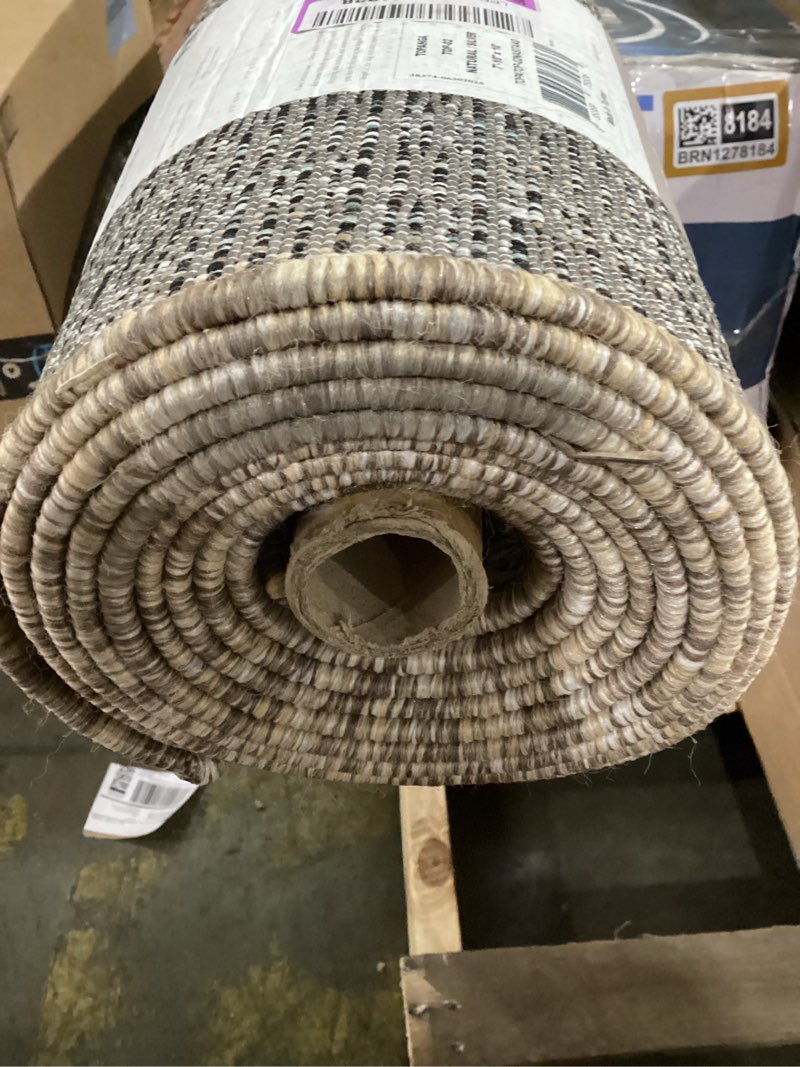 Condition photo showing Good Condition for loloi amber lewis topanga collection top-02 natural/silver 7'-10" x 10' indoor/outdoor area rug