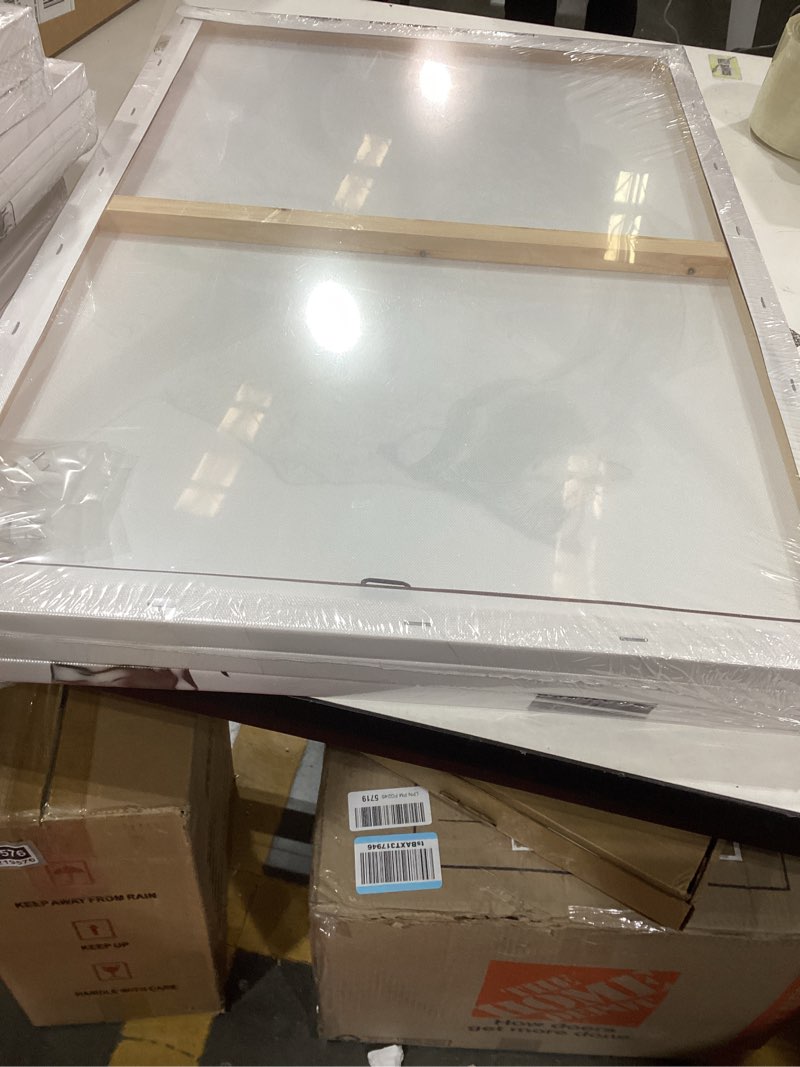 Condition photo showing Good Condition for Dinosaur canvas art