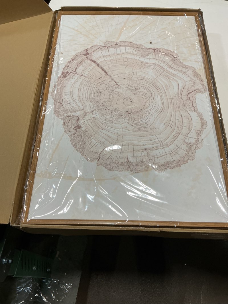 Condition photo showing New/Like New for DRACIT Beige Pastel Wood Tree Rings Framed Canvas Wall Art Set,Modern Nature Grey Wood Stump Wall Decor,Vintage Minimalist Tree Spiral Art Print for Living Room,Bedroom,Dining Room,Office-16 x24 x3 Beige Tree Rings Wall Art 16"L x 24"W