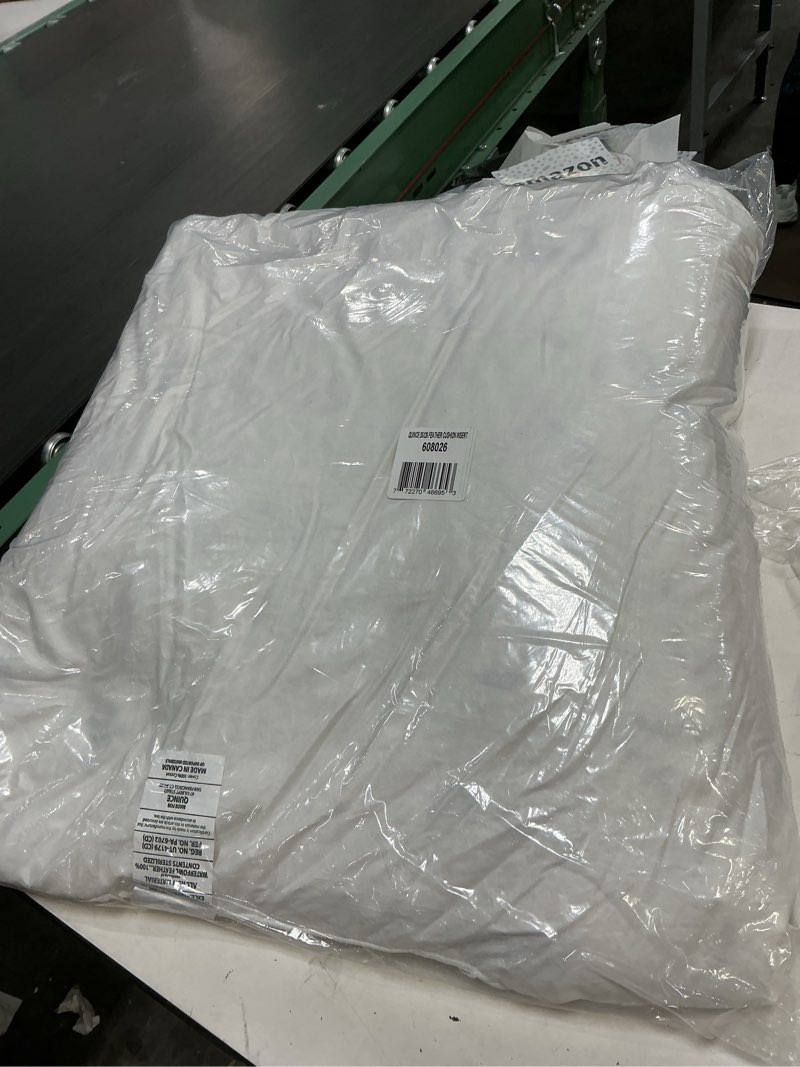 Condition photo showing Good Condition for quince premium feather pillow insert 26x26
