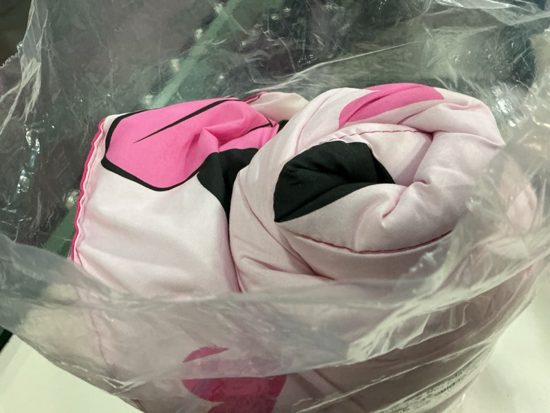 Condition photo showing Good Condition for jay franco disney minnie mouse hearts n love 4 piece twin bed set - includes reversible comforter & sheet set - super soft fade resistant microfiber - (official disney product)