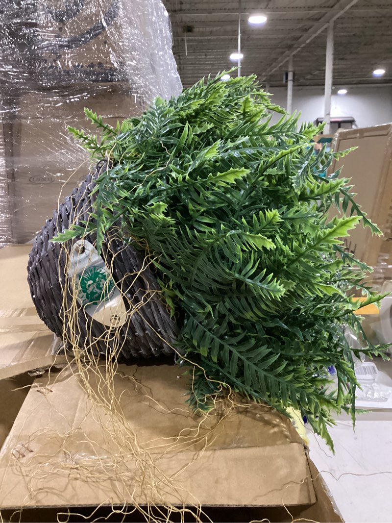 Condition photo showing Good Condition for qianyun artificial hanging boston ferns – 2 pack large faux fern bushes, uv resistant outdoor hanging plants for front porch, patio, and indoor décor green