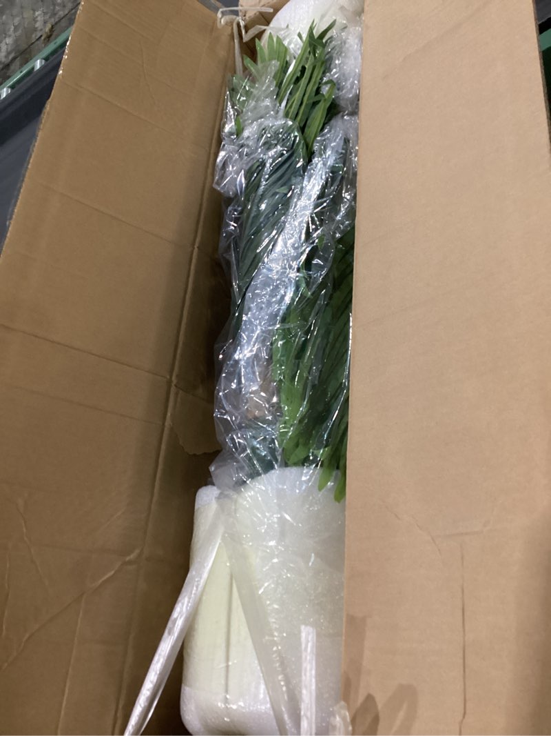 Condition photo showing New/Like New for Artificial Fake Palm Tree 4FT 2Pack with White Planter & Free Moss, UV Resistant Artificial Palm Tree for Outdoors, Fake Plants for Poolside Home Room Decor, Faux Plants Outdoor Decor 2 4ft, SIMILAR TO STOCK PHOTO 