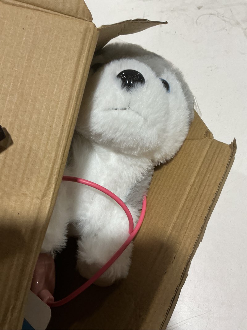 Condition photo showing Good Condition for wolf hopearl hopping bunny interactive electronic rabbit toy remote control leash animated pet repeat what you said singing gifts for toddlers, white, 12''