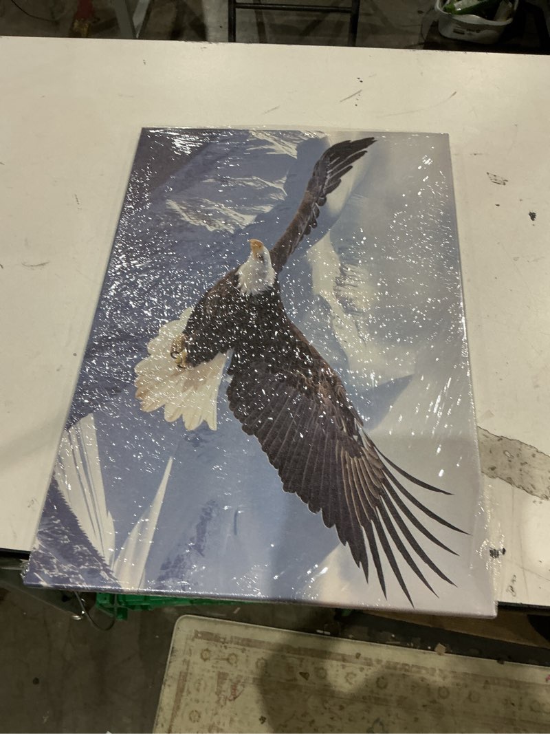 Condition photo showing Good Condition for qixiang eagle canvas prints wall art flying eagle pictures large bird wildlife poster western animal artwork for home decor framed (eagle,16.00" x 24.00") eagle 16"l x 24"w