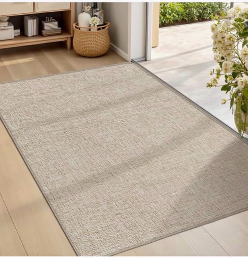 LEKEEPGO Ultra Thin Indoor Door Mat 24"x36", Low-Profile Door Mat Indoor Entrance, Non Slip Rubber B