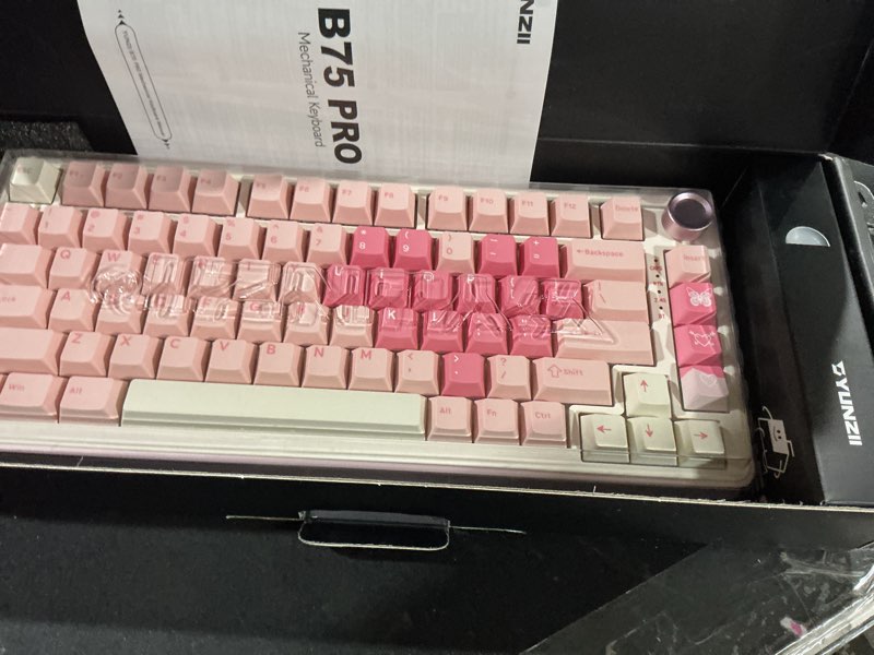 YUNZII B75 PRO Wireless Mechanical Keyboard,75% Layout with Knob,Hot Swap Gasket Custom Structure,Cr