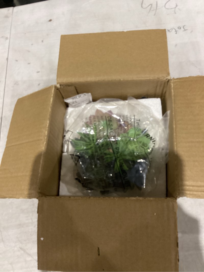 Condition photo showing New/Like New for MyGift 6 Inch Round Modern Artificial Succulent Arrangement Potted in White Ceramic Plant Bowl, Assorted Faux Mini Succulents in a Decorative Planter Pot