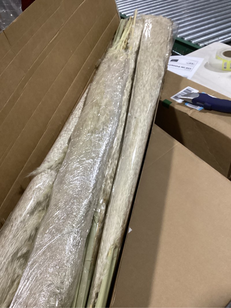 Condition photo showing New/Like New for 40" inch 60 Stems Natural Pampas Grass Decor Tall, pompas Grass, Tall Pampas Grass for Wedding, Party, Farmhouse, Boho Home Decor