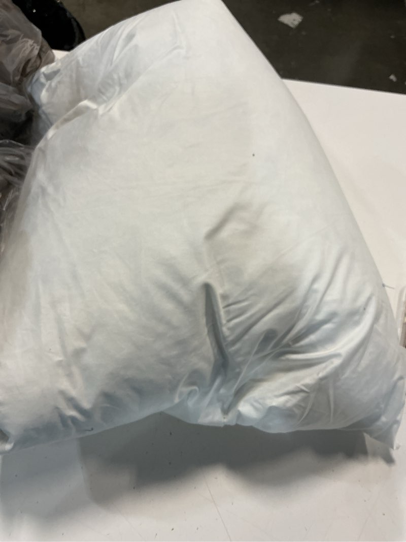 Condition photo showing As Is for premium feather pillow insert (set of 2), 22x22, no color