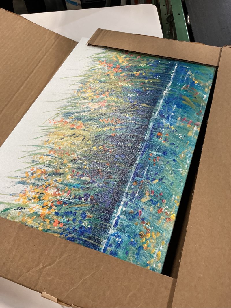 Condition photo showing As Is for Wrapped Canvas Wall Art - Tim Otoole 'Wildflower Reflection I' Wall Art for Living Room, Bedroom, or