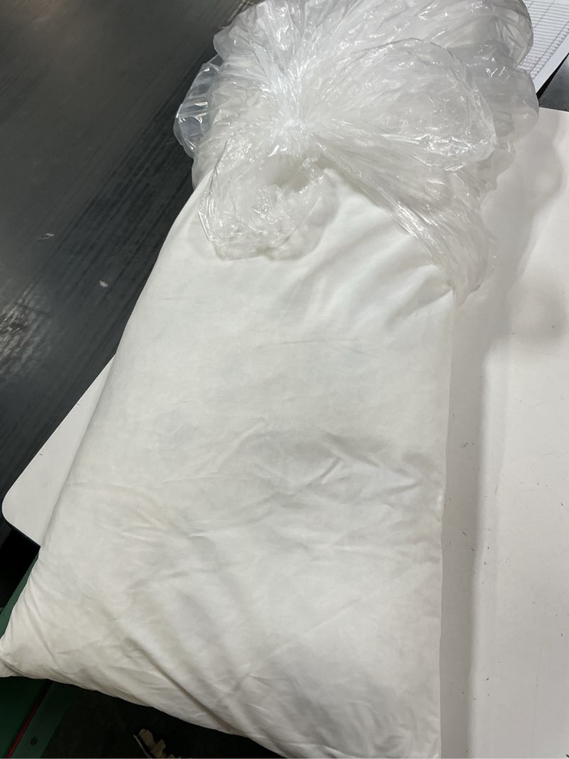 Condition photo showing Good Condition for premium feather pillow insert (1 piece), 14x36, no color