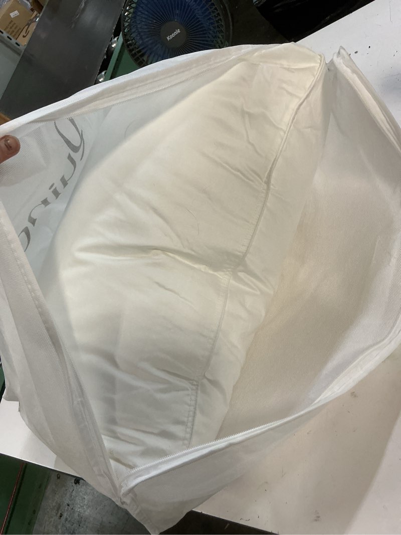 Condition photo showing New/Like New for quince premium down alternative pillow, standard, firm