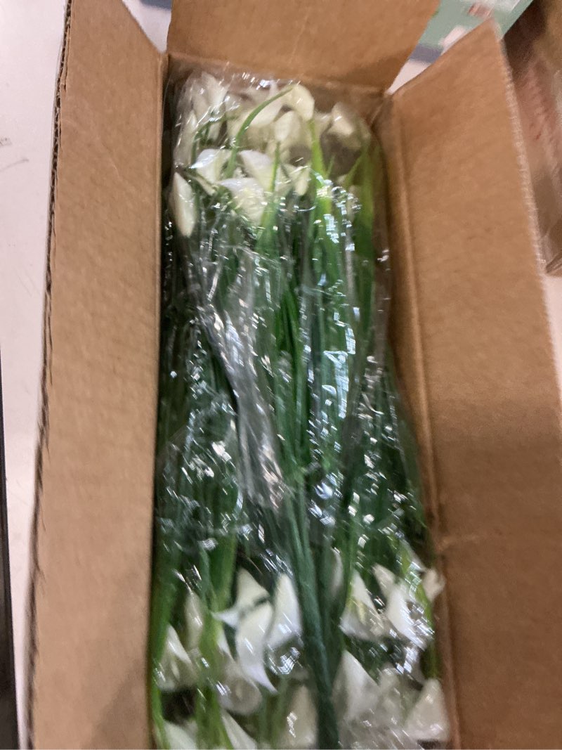 Condition photo showing New/Like New for TURNMEON 20 Bundles Calla Lily (400 Heads) Artificial Flowers for Outdoors, Fake Plants UV Resistant Faux Plastic Fake Flowers for Indoor Planter Home Porch Yard Spring Summer Cemetery Decor(White) White 20 Bundles