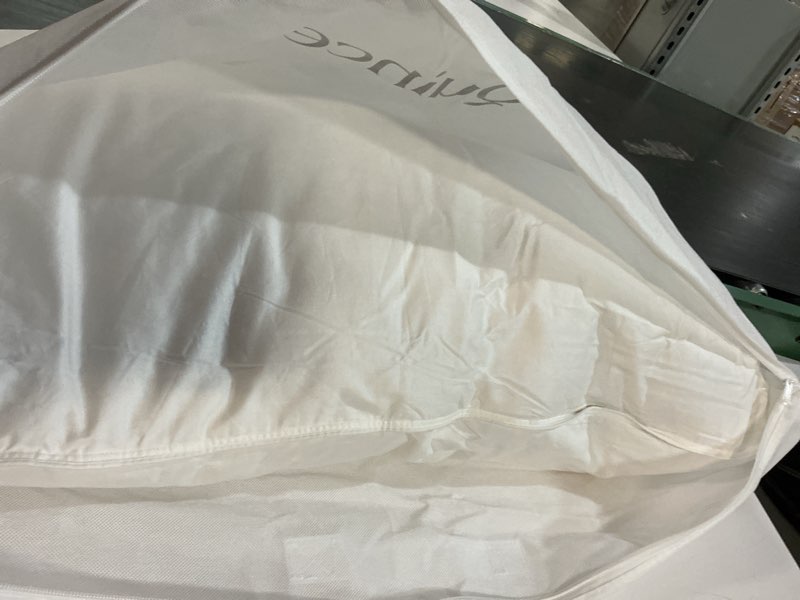 Condition photo showing As Is for quince luxe goose down pillow king medium/firm