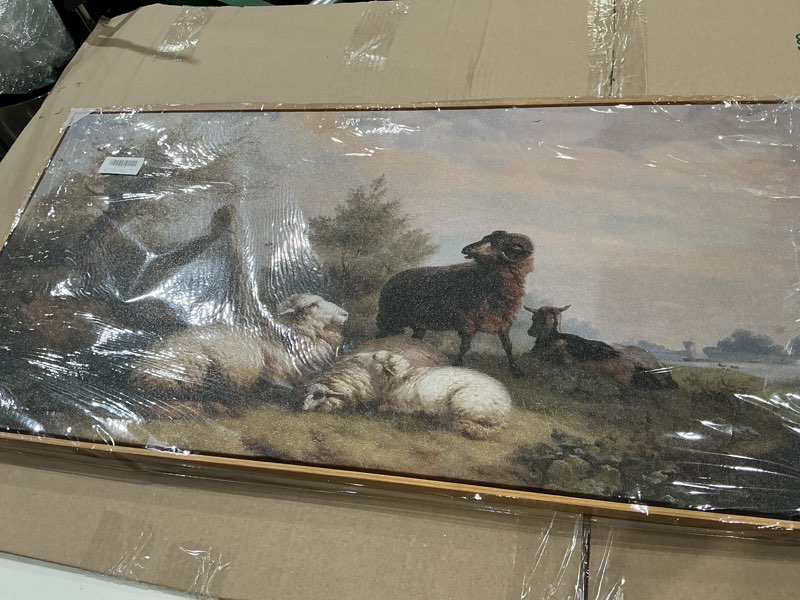 Condition photo showing As Is for farmhouse country sheep canvas wall art framed rustic vintage pasture animal pictures countryside meadow field prints painting cottagecore poster artwork for bedroom living room home decoration 20x40 20"l x 40"w sheep