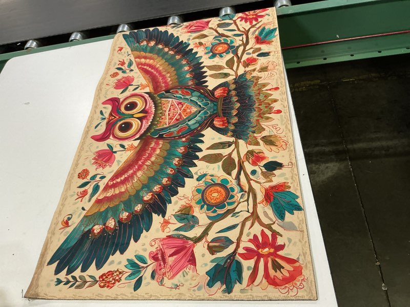 Condition photo showing Good Condition for folk art owl indoor door mat with bright eyes and vibrant feathers, welcome 29.5"×17" non-woven floor mat, non-slip doormat rug for front door, porch, bathroom, kitchen, home decor, gifts 26