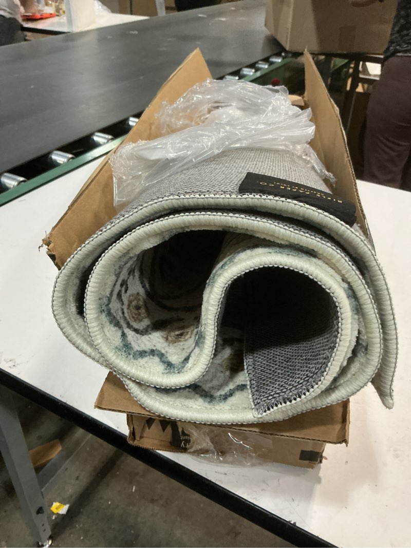 Condition photo showing Good Condition for Loloi Rifle Paper Co. Eden Collection EDE-03 Lattice Ivory 2'-3" x 3'-9" Accent Rug feat. CloudPile™ Lattice Ivory 2'3" x 3'9" (Rectangular)