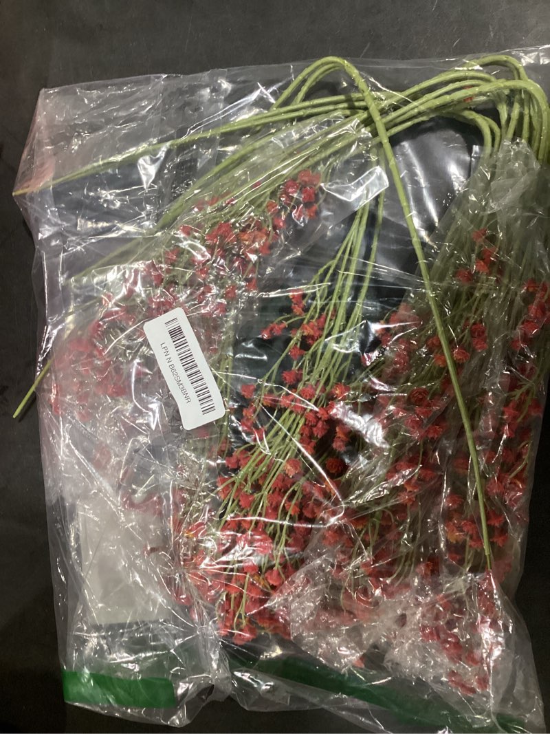 Condition photo showing Good Condition for 10 Pack Baby's Breath Artificial Flowers Bulk 3 Branches Faux Baby Breath Plastic Flowers Fake Gypsophila Flower Arrangement Fake Flowers Bouquet for Wedding Home Decor Fall Red Baby Breath Maroon