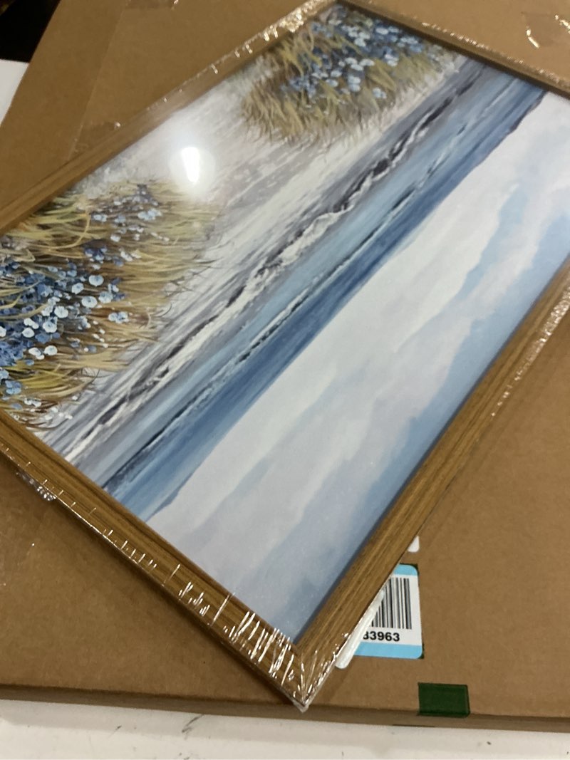 Condition photo showing New/Like New for wood framed coastal beach wall art, vintage floral ocean landscape canvas wall decor paintings, blue boho farmhouse coastal posters prints pictures for living room bedroom bathroom 16x24 inch blue flowers framed 24"l x 16"w