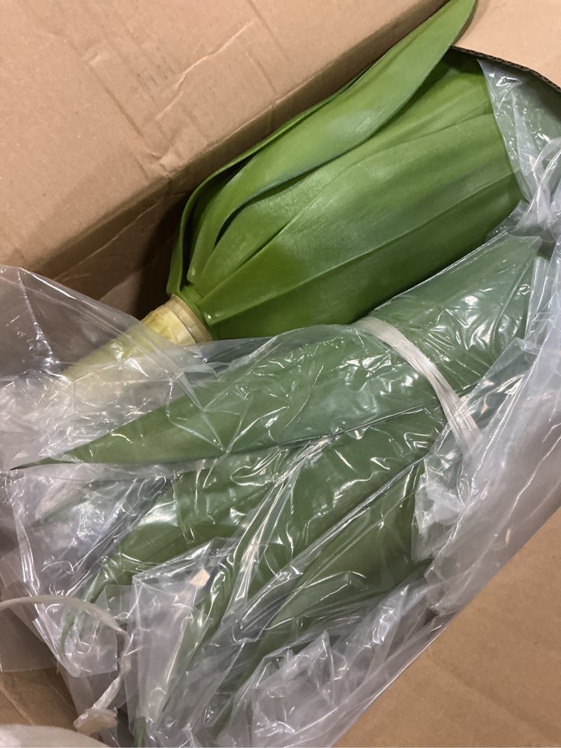 Condition photo showing New/Like New for Artificial Agave Plants,Large UV Resistant Fake Agave Planters for Indoor and Outdoor Decorating Plantas Artificiales Decorativas Grandes(2Pack, 28") 28"green-2