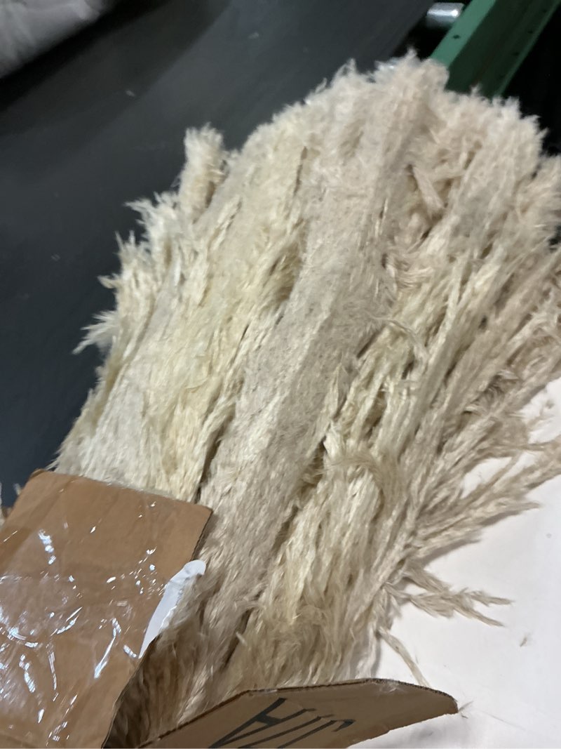 Condition photo showing Good Condition for 40" inch 40 Stems Natural Pampas Grass Decor Tall, pompas Grass, Tall Pampas Grass for Wedding, Party, Farmhouse, Boho Home Decor