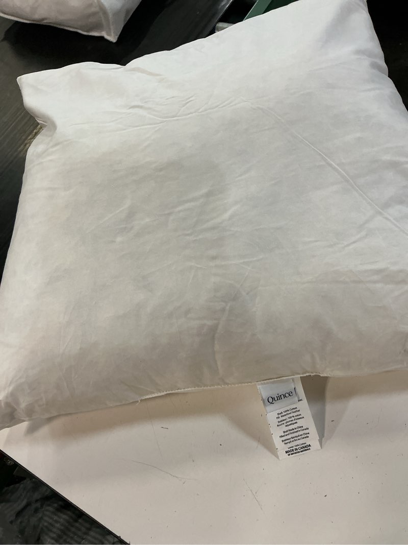 Condition photo showing As Is for premium feather pillow insert, 26x26