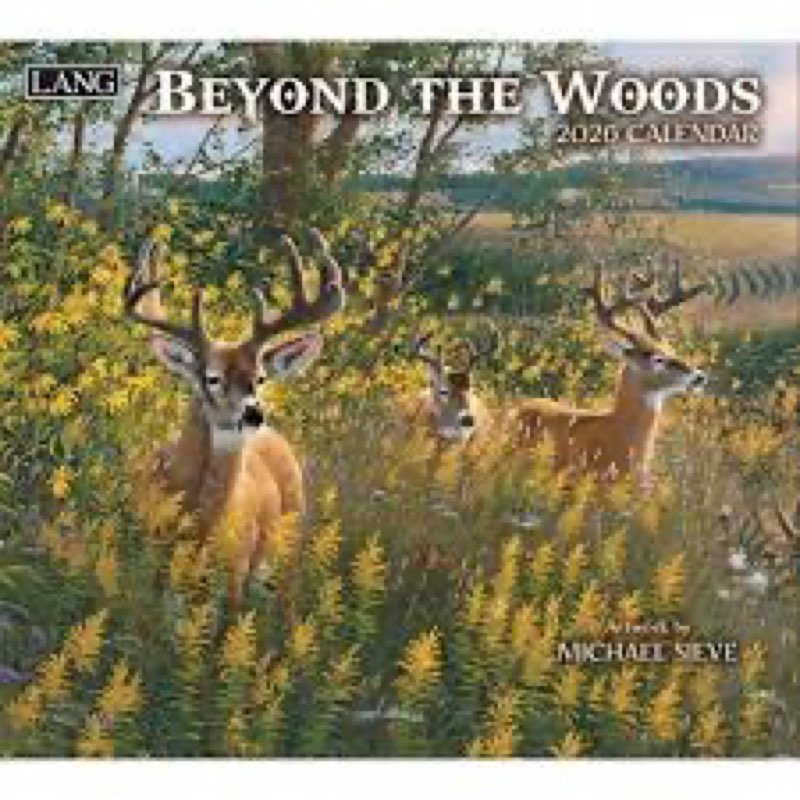 Lang Companies, Beyond the Woods 2026 Wall Calendar by Michael Sieve, 13.4'' X 12'', 12-Month Calend