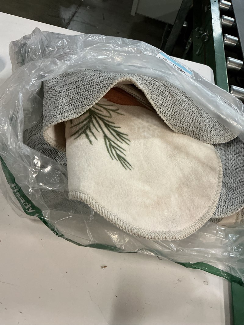 Condition photo showing Good Condition for   Similar unknown size WASHABLE AREA RUG BOTANIC PLANTS