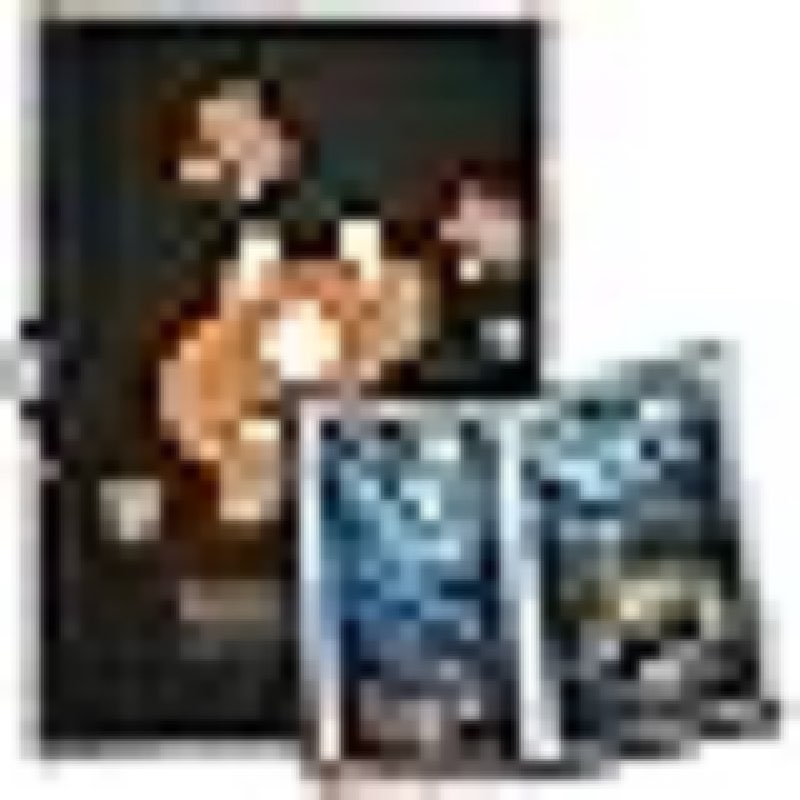 demine puzzle storage folder for 1000 pieces – portable jigsaw puzzles organizer binder fits up to 40 puzzles, 20 hd film pockets, handle design puzzle keeper for adults and kids