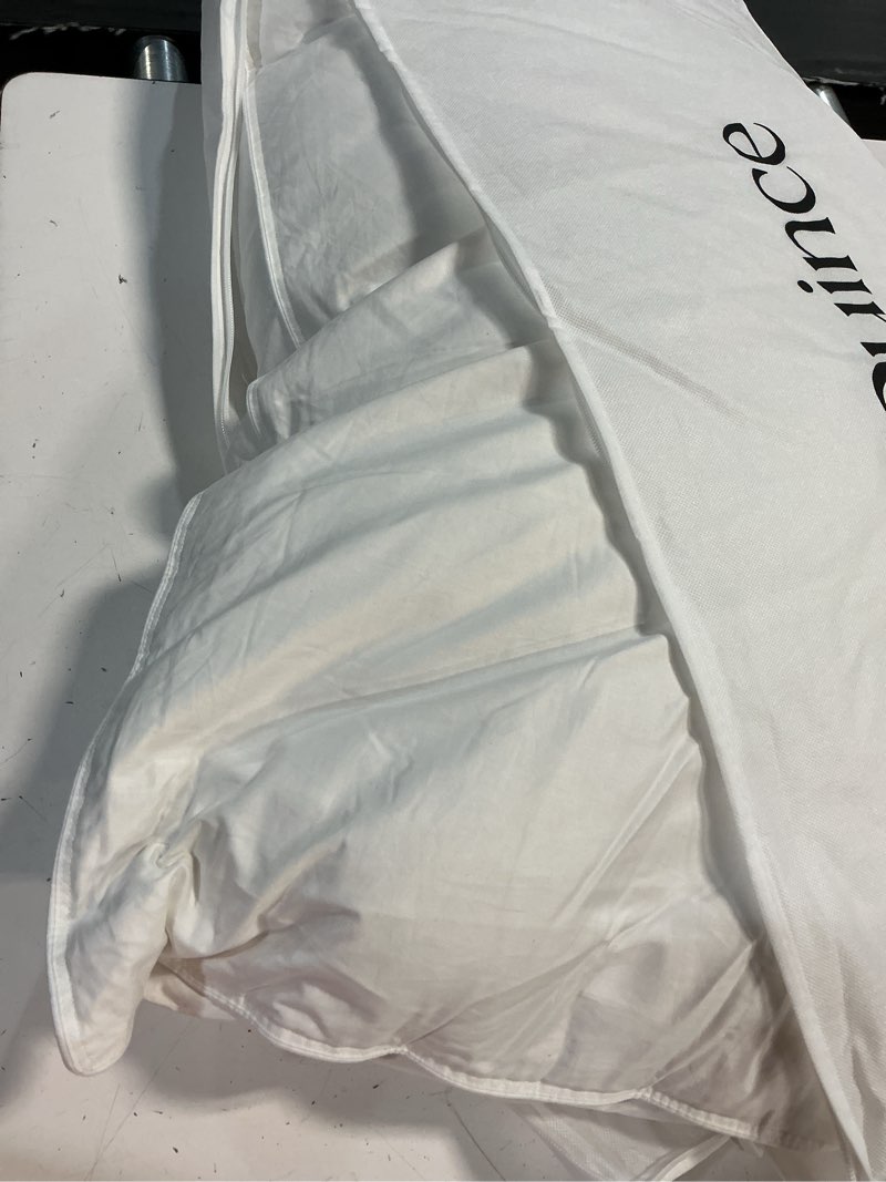Condition photo showing Good Condition for premium down pillow, king, medium