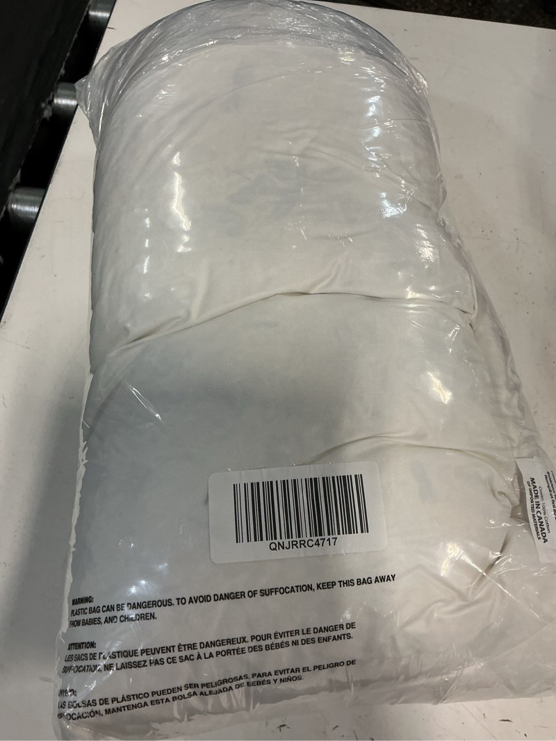 Condition photo showing Good Condition for premium feather pillow insert (set of 2), 22x22, no color