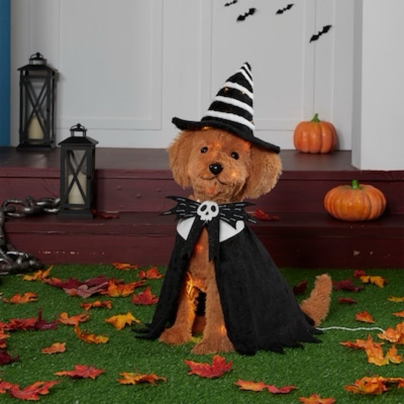 100+ bought last week Haunted Living 2-ft Lighted Doodle Witch Dog Decoration