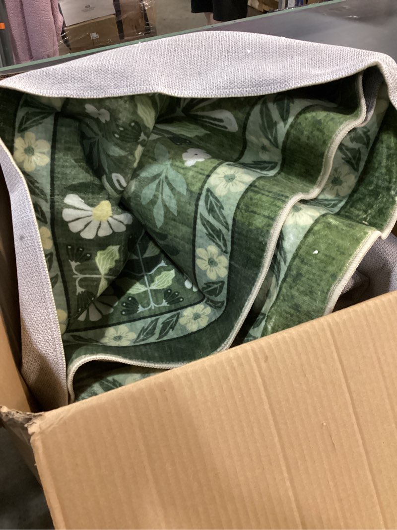 Condition photo showing Good Condition for Anidaroel Green Large Area Rugs 8x10, Botanical Floral Washable Rug for Living Room, Soft Rugs for Bedroom Non-Slip Ultra-Thin Modern Rug Dining Room Mat Throw Carpet for Dorm Apartment Green 8'x10'