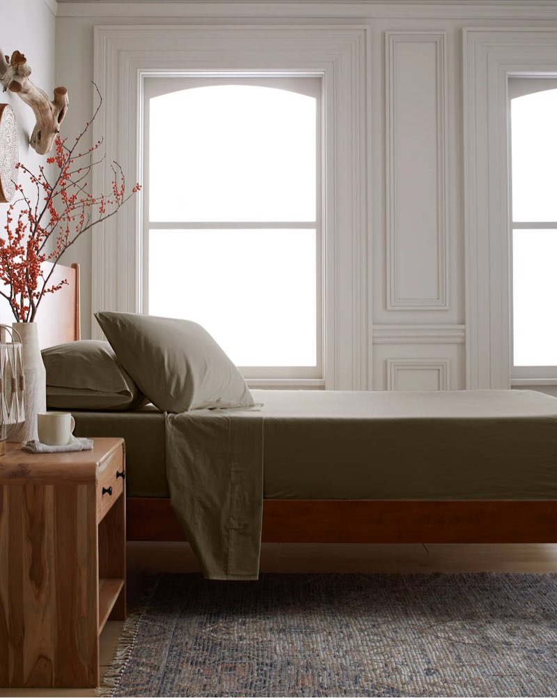 organic brushed cotton sheet set king , dusty olive
