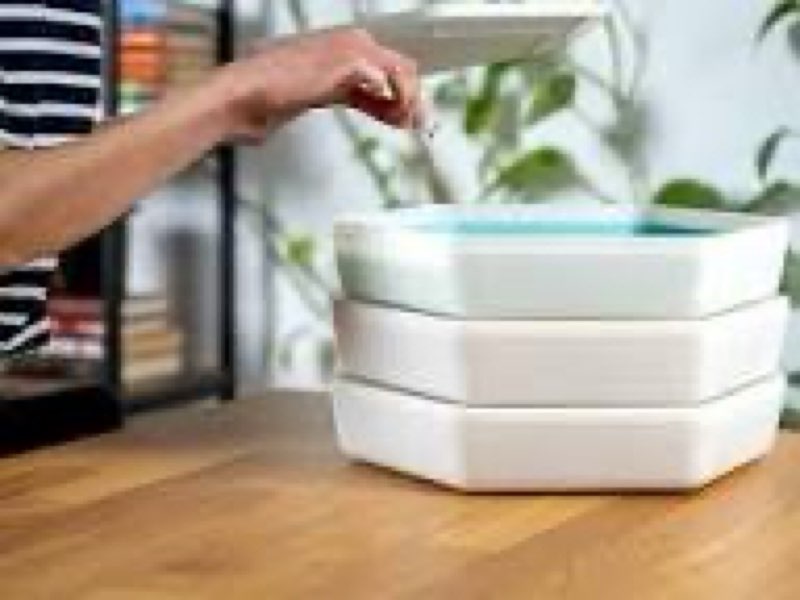 Condition photo showing New/Like New for The Bug Factory Mealworm Growing Pods