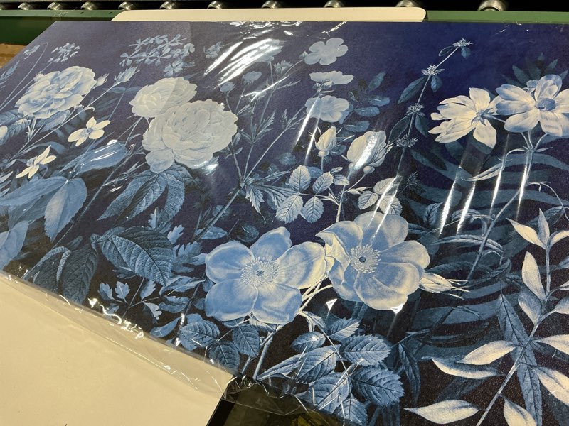 Condition photo showing Good Condition for large flowers wall art for living room decor framed art floral indigo canvas pictures vintage blossom artwork navy blue botanical wildflower prints for bedroom home office wall decoration 24" x 48" 48"l x 24"w navy