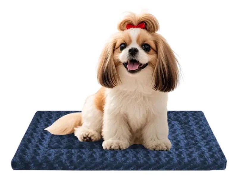 Last Chance Deals @ School Rd!