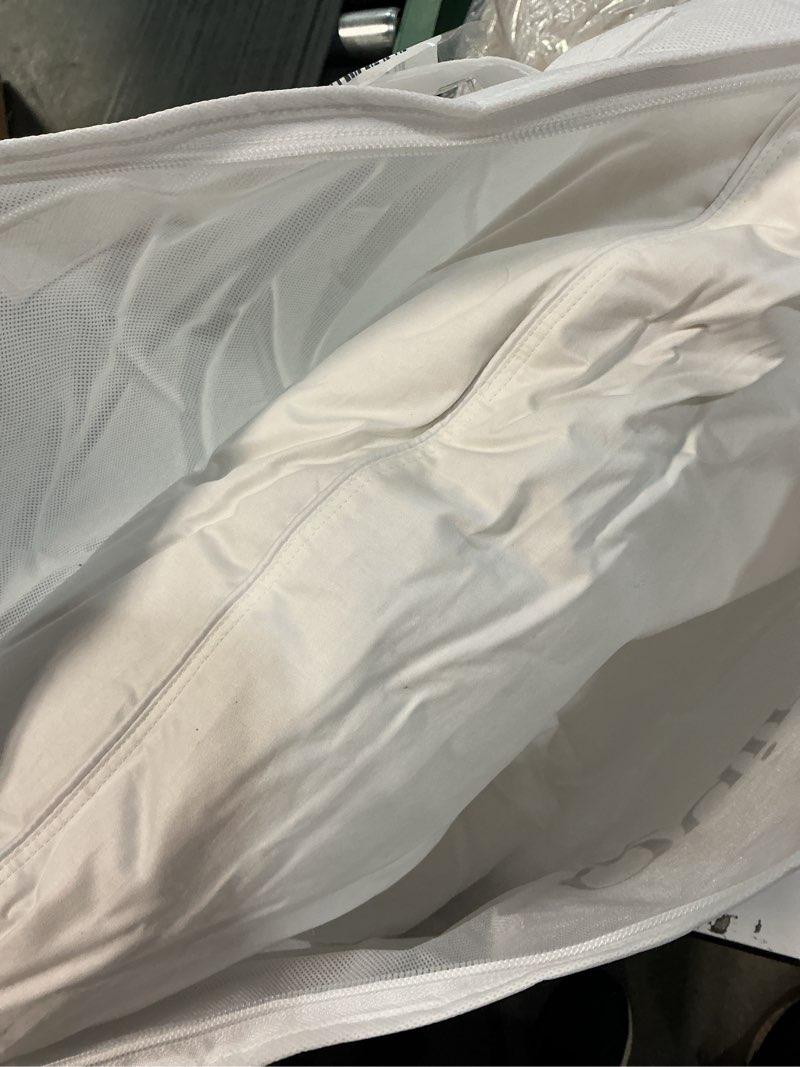 Condition photo showing Good Condition for quince down pillow white