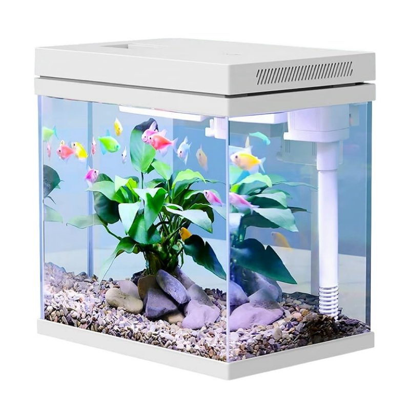 craftsboys fish tank, 4 gallon nano-aquarium, upgrade filter system and led light, for freshwater & 