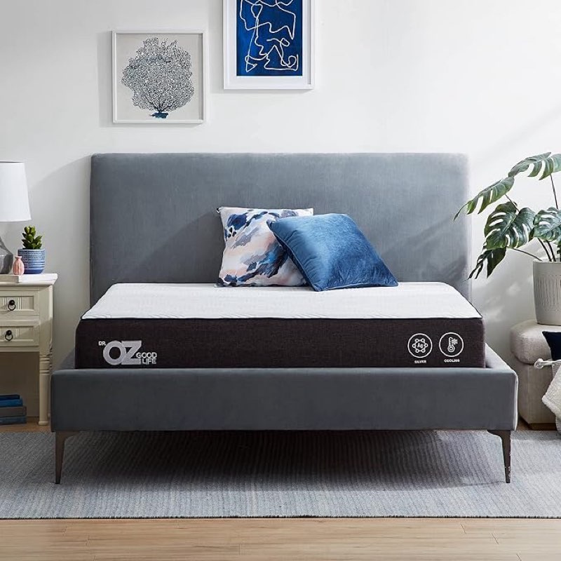 Dr. Oz Good Life 10 Inch Queen Size Medium Firm, Polyester Mattress
