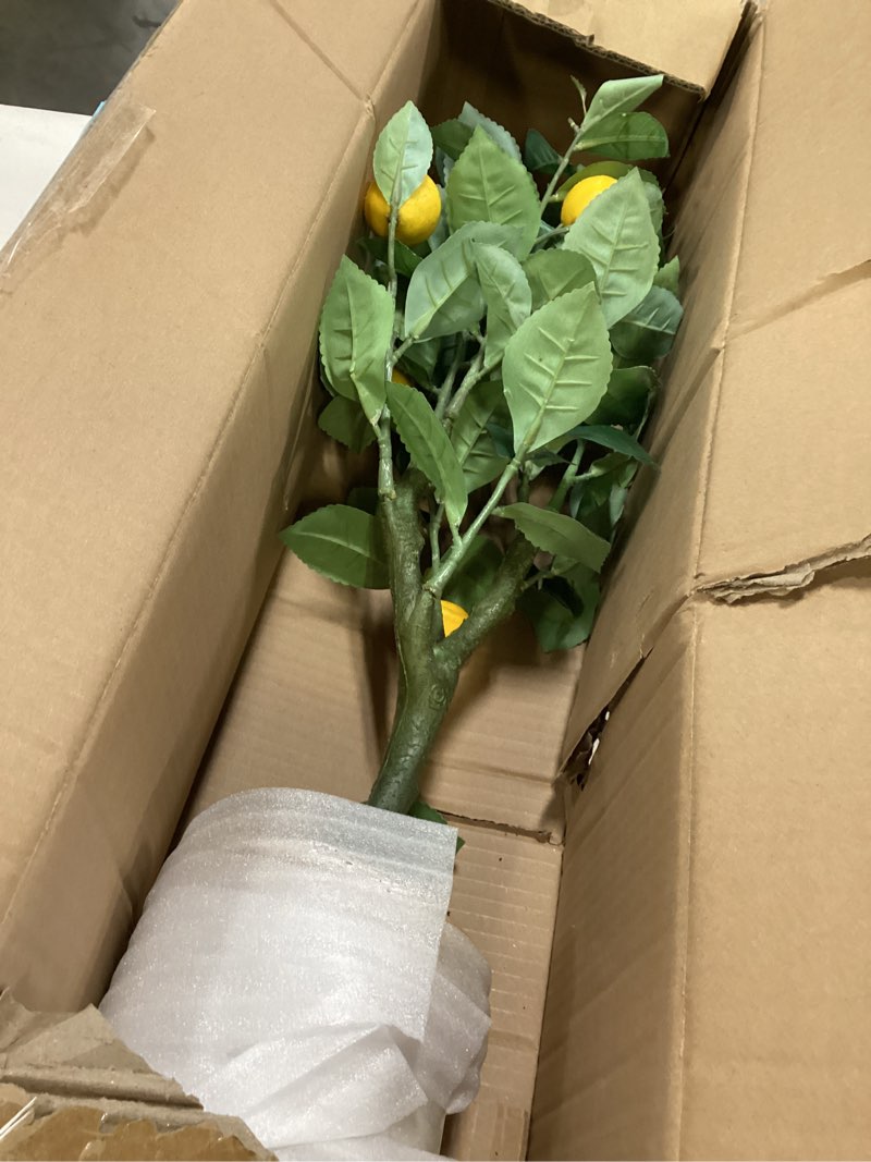 Condition photo showing New/Like New for Nearly Natural 28in. Lemon Artificial Tree in Decorative Planter