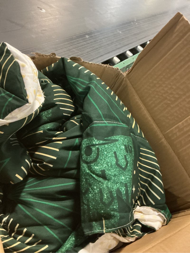 Condition photo showing Good Condition for Collectibles Wicked Lux Bedding 7 Piece Super Soft Reversible Comforter and Sheet Set with Sham, Full, (Officially Licensed Product) by Franco Wicked - Welcome to Oz 7 Piece Full Size