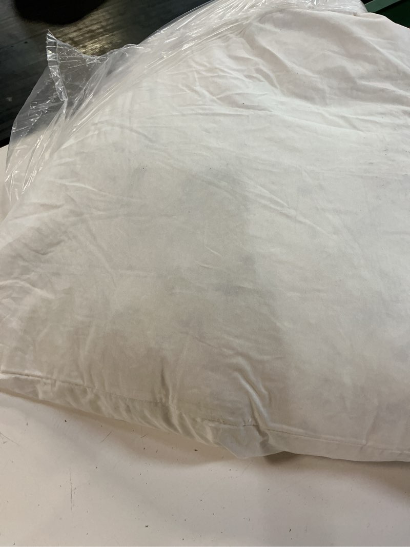 Condition photo showing As Is for premium feather pillow insert 26x26