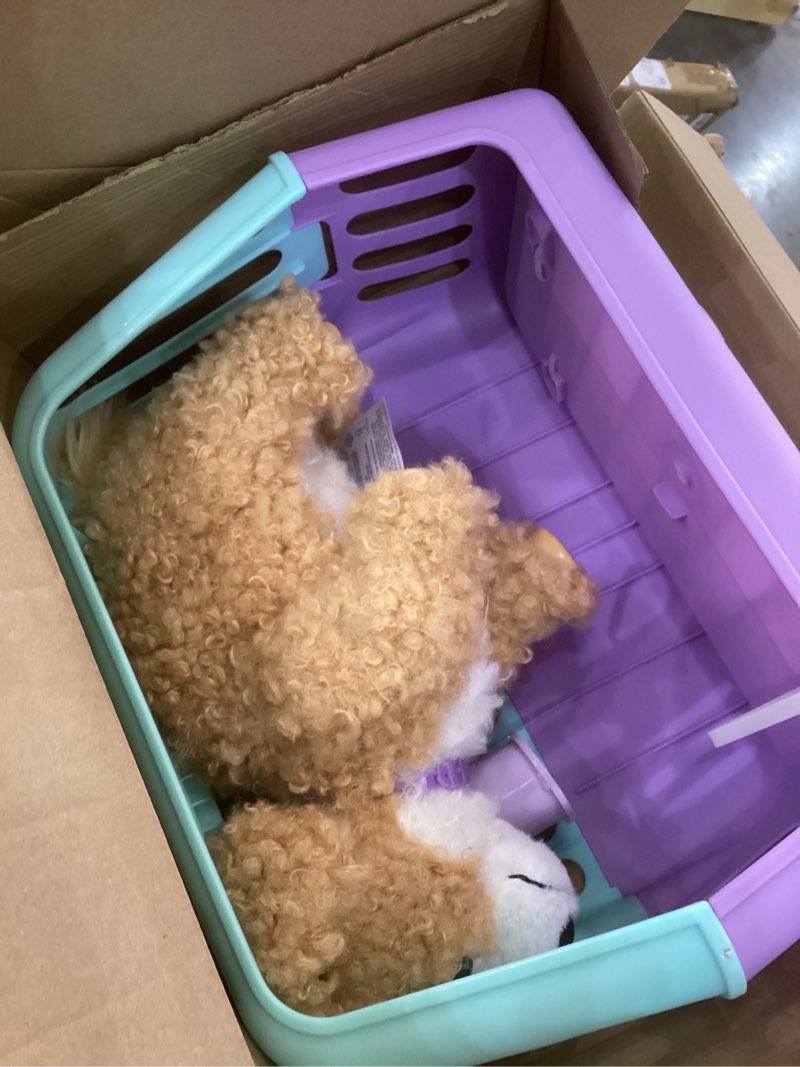 Condition photo showing Good Condition for Little Live Pets Ouchies Amazon Exclusive Hazel The Poodle Plush, 50+ Sounds, Limping to Walking Puppy Toy & Carrier, Interactive Toy Dog for Kids 5+